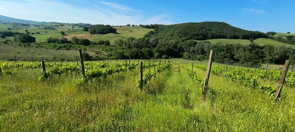 casa indipendente in vendita a Cinigiano in zona Porrona