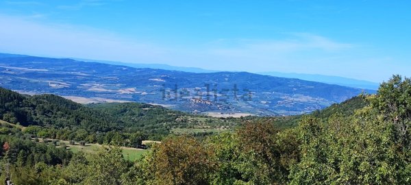 casale in vendita a Cinigiano