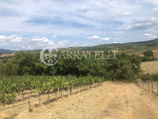 villa in vendita a Cinigiano in zona Porrona