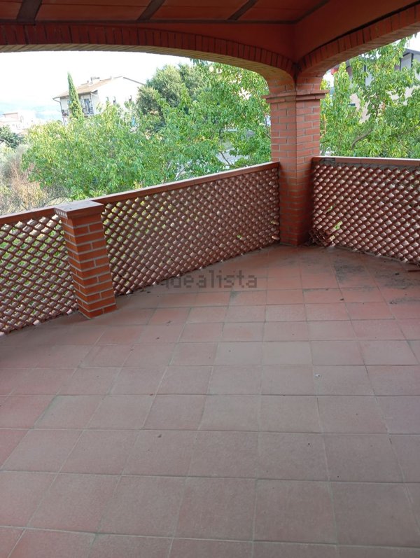 pentavano in vendita a Cinigiano