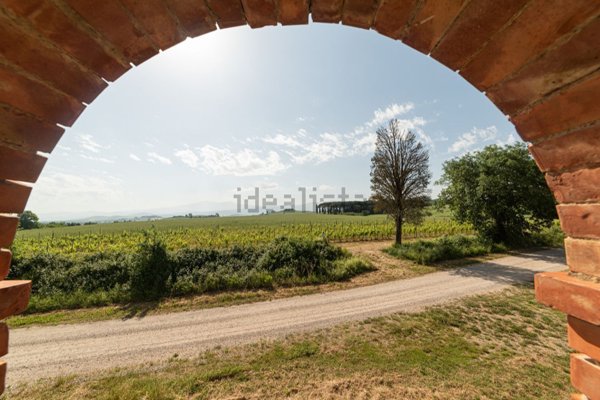 esavano in vendita a Cinigiano