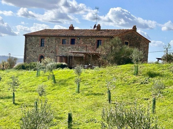 appartamento in vendita a Cinigiano