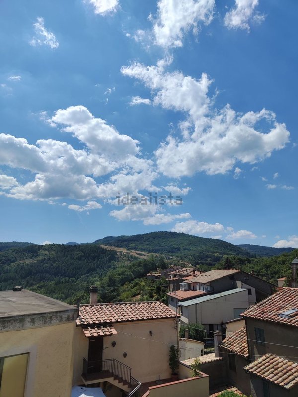 appartamento in vendita a Cinigiano in zona Monticello Amiata