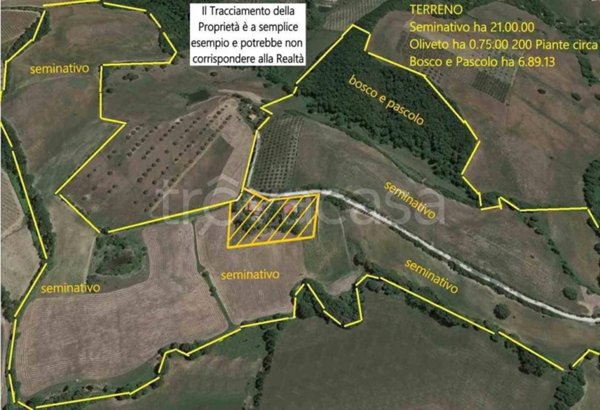 terreno agricolo in vendita a Cinigiano