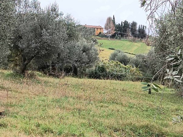 ufficio in vendita a Cinigiano