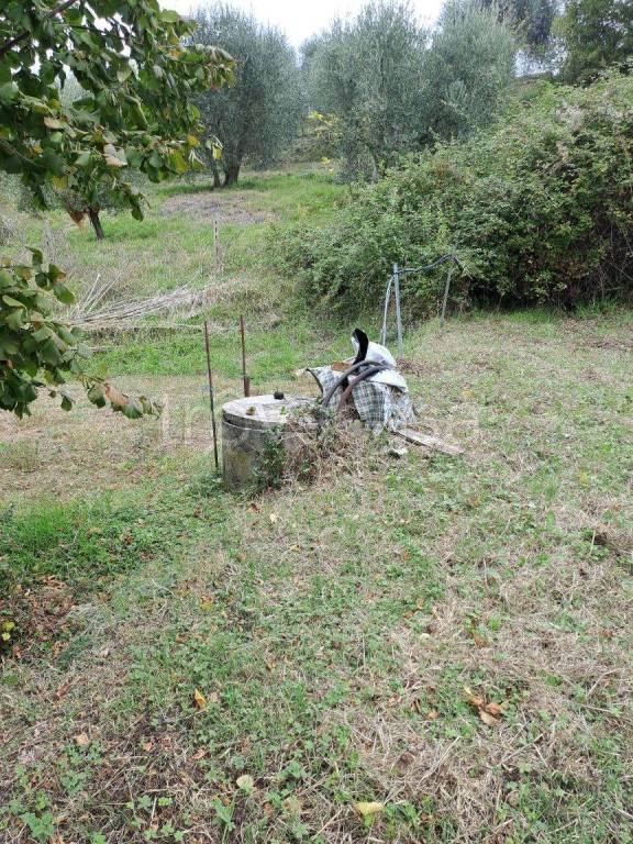 terreno agricolo in vendita a Cinigiano