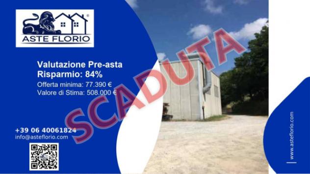 pentavano in vendita a Cinigiano in zona Monticello Amiata