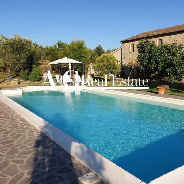 appartamento in vendita a Cinigiano in zona Porrona