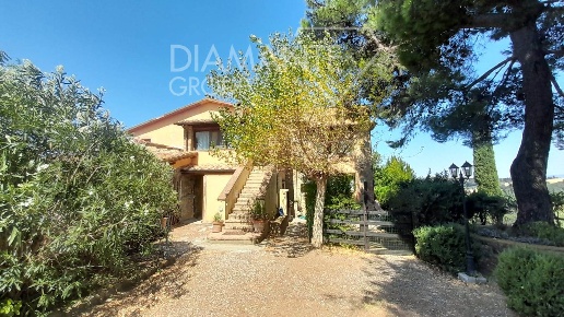 negozio in vendita a Cinigiano