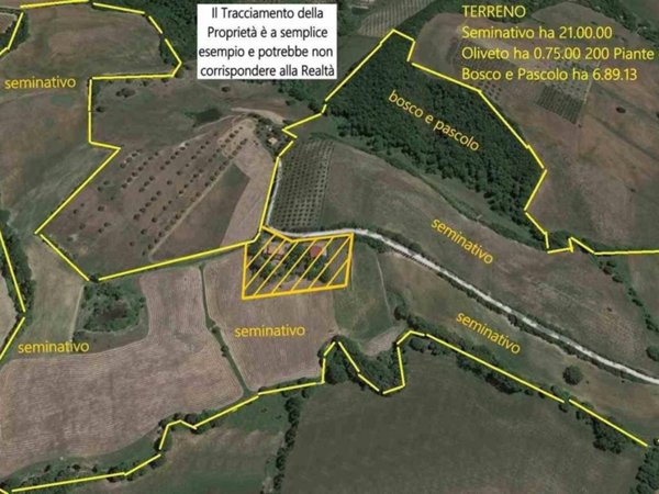 terreno agricolo in vendita a Cinigiano