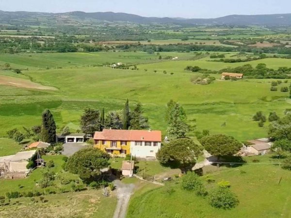 azienda agricola in vendita a Cinigiano