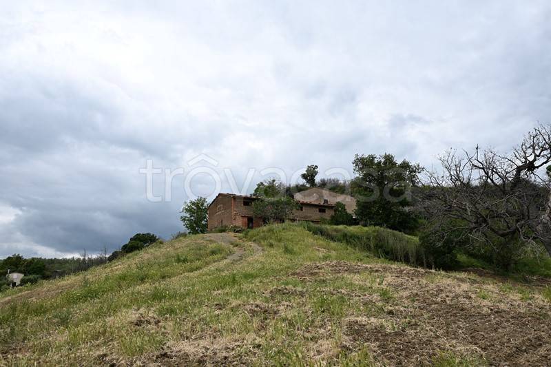 casa indipendente in vendita a Cinigiano