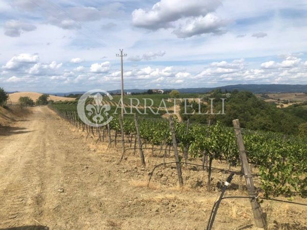 negozio in vendita a Cinigiano