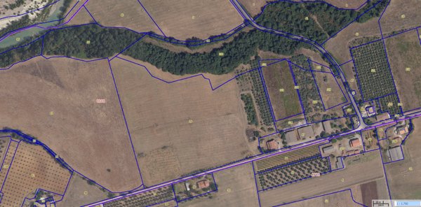 azienda agricola in vendita a Cinigiano