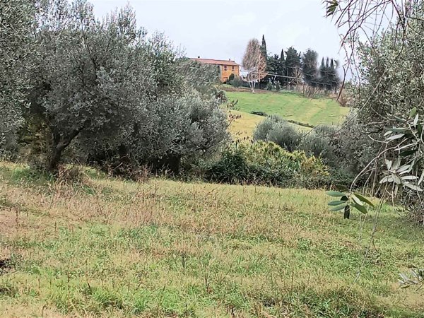 azienda agricola in vendita a Cinigiano