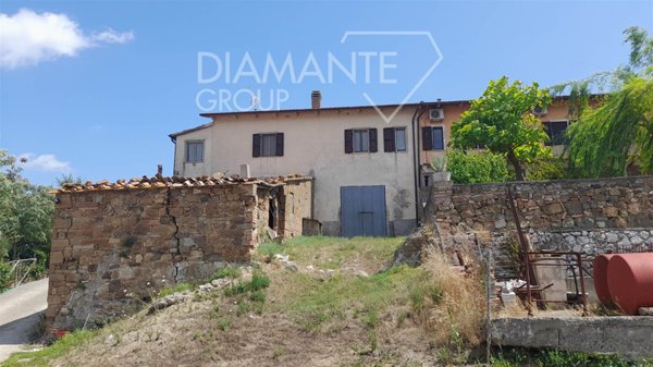 azienda agricola in vendita a Cinigiano