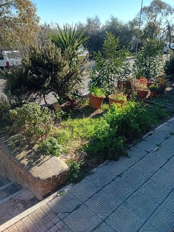 appartamento in vendita a Cinigiano