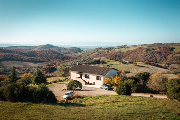 casa indipendente in vendita a Cinigiano in zona Poggi del Sasso
