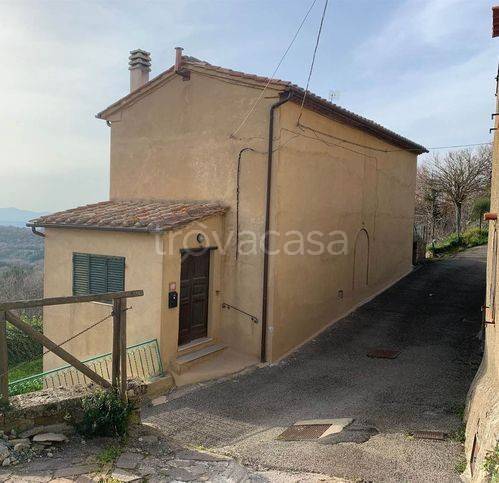 casa indipendente in vendita a Cinigiano in zona Monticello Amiata