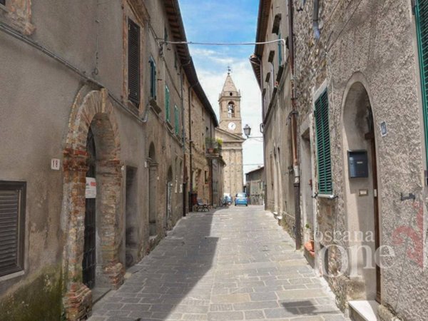 appartamento in vendita a Cinigiano in zona Monticello Amiata