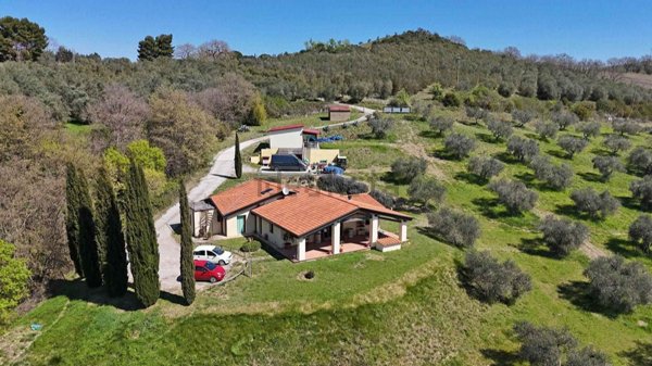 immagine annuncio 0 di 1