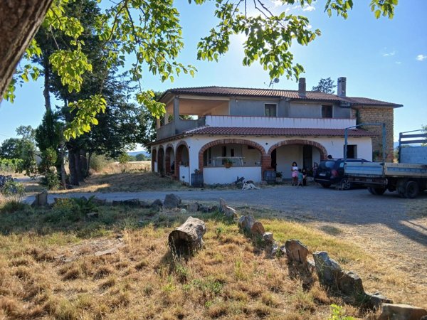 azienda agricola in vendita a Cinigiano