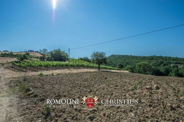 appartamento in vendita a Cinigiano