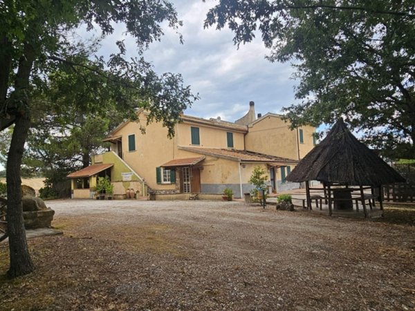 negozio in vendita a Cinigiano in zona Porrona