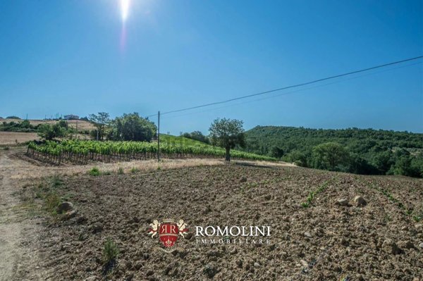appartamento in vendita a Cinigiano