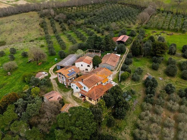negozio in vendita a Cinigiano