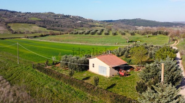 casale in vendita a Cinigiano in zona Sasso d'Ombrone