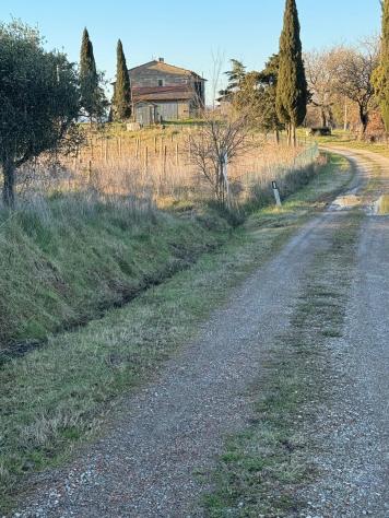 negozio in vendita a Cinigiano