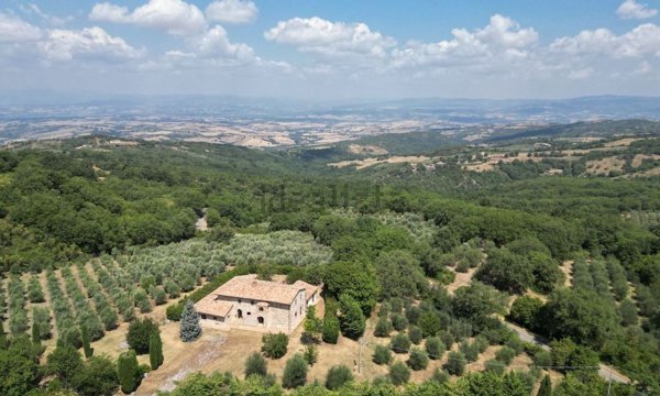 appartamento in vendita a Cinigiano