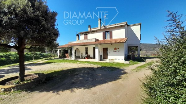 azienda agricola in vendita a Cinigiano