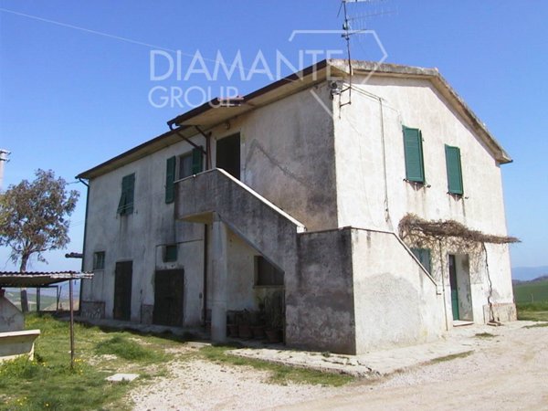 azienda agricola in vendita a Cinigiano in zona Porrona