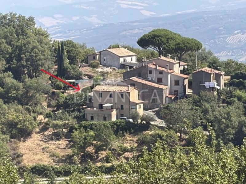 casa indipendente in vendita a Cinigiano in zona Monticello Amiata