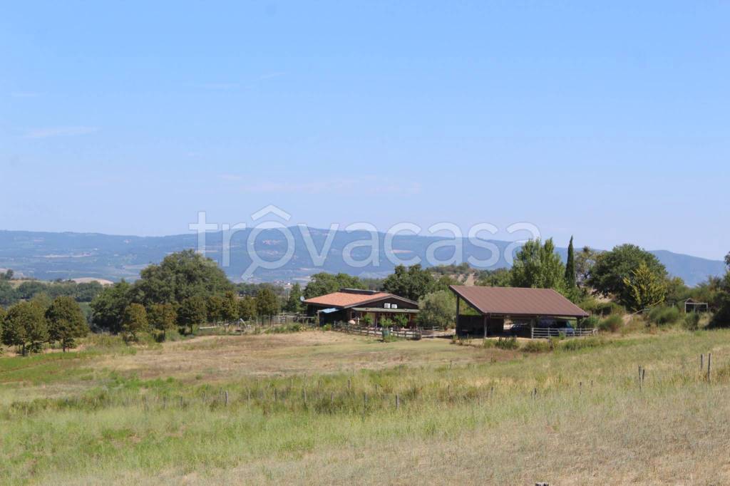 casa indipendente in vendita a Cinigiano