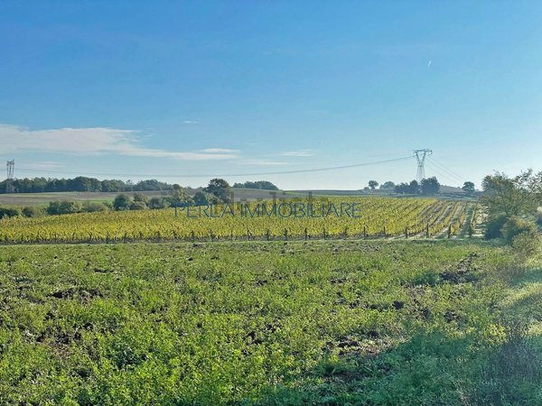 terreno in vendita a Cinigiano in zona Sasso d'Ombrone