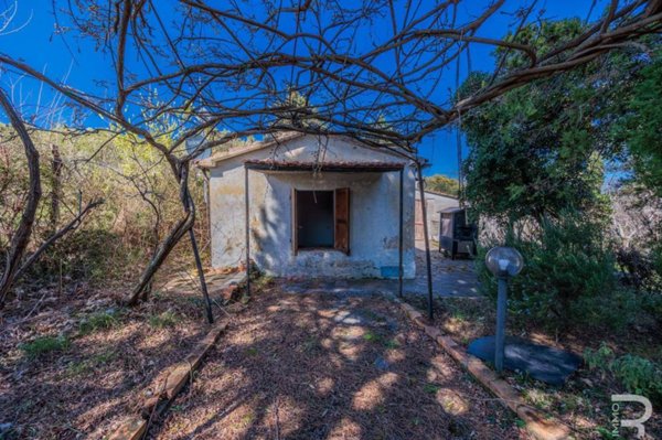 casa indipendente in vendita a Cinigiano in zona Castiglioncello Bandini