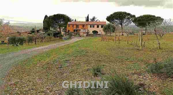 appartamento in vendita a Cinigiano