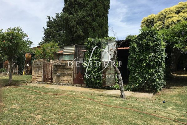 casa indipendente in vendita a Cinigiano in zona Poggi del Sasso