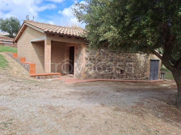 terreno agricolo in vendita a Cinigiano