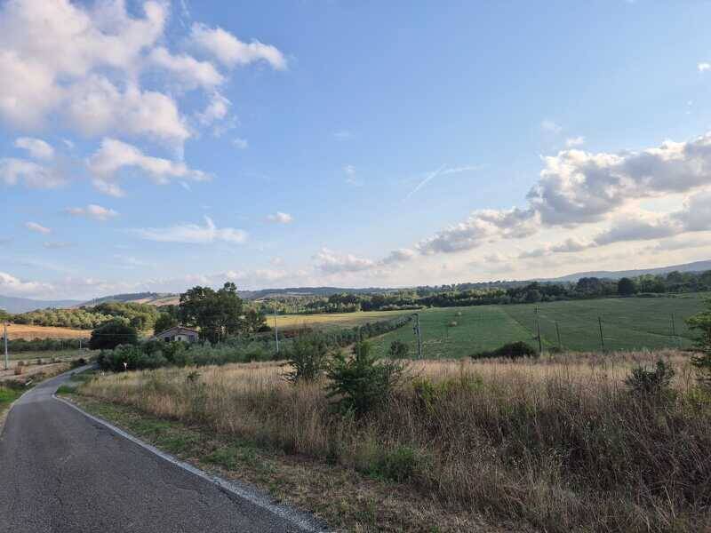 terreno in vendita a Cinigiano