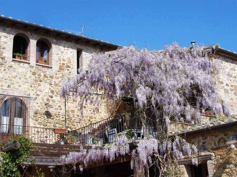 appartamento in vendita a Cinigiano