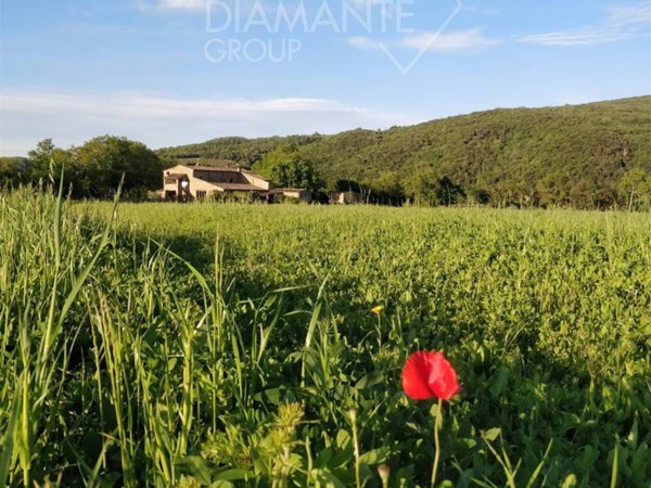 terreno agricolo in vendita a Civitella Paganico