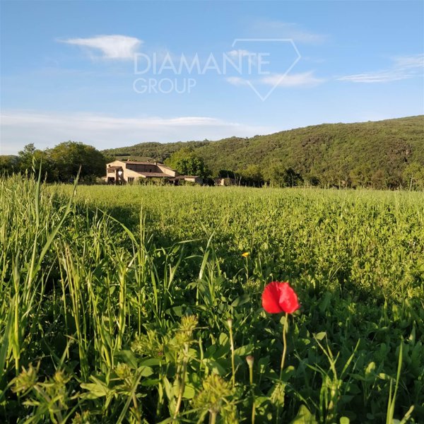 terreno agricolo in vendita a Civitella Paganico