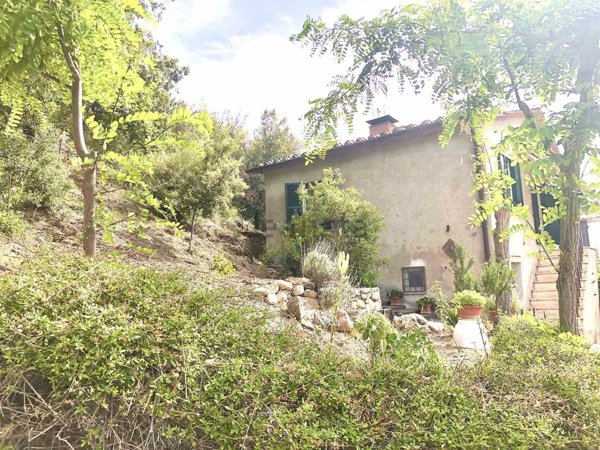 appartamento in vendita a Civitella Paganico in zona Petriolo