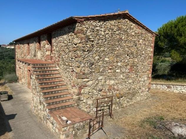 terreno agricolo in vendita a Civitella Paganico in zona Civitella Marittima