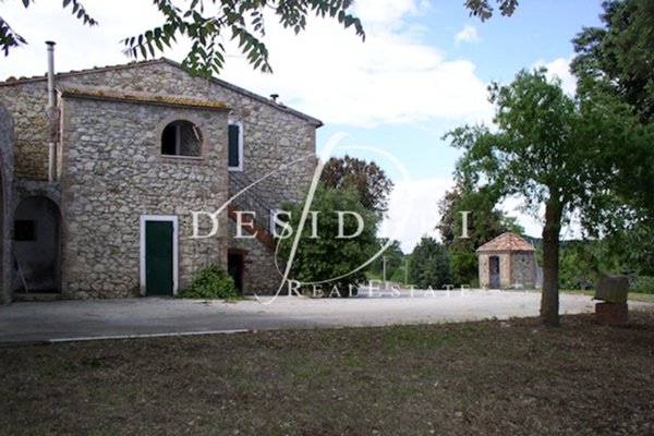 azienda agricola in vendita a Civitella Paganico in zona Dogana