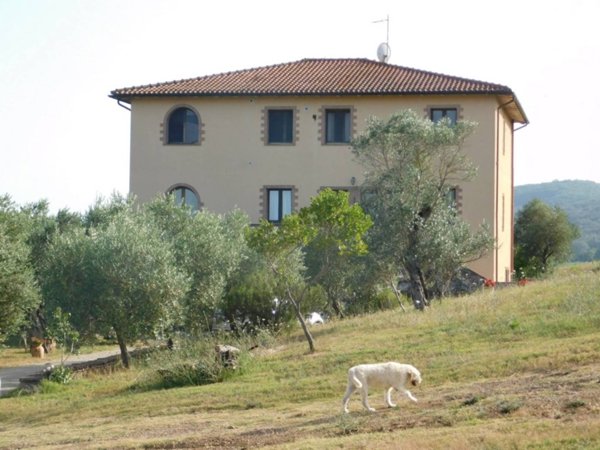 negozio in vendita a Civitella Paganico